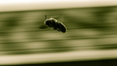 ある日の出来事  -Ⅵ