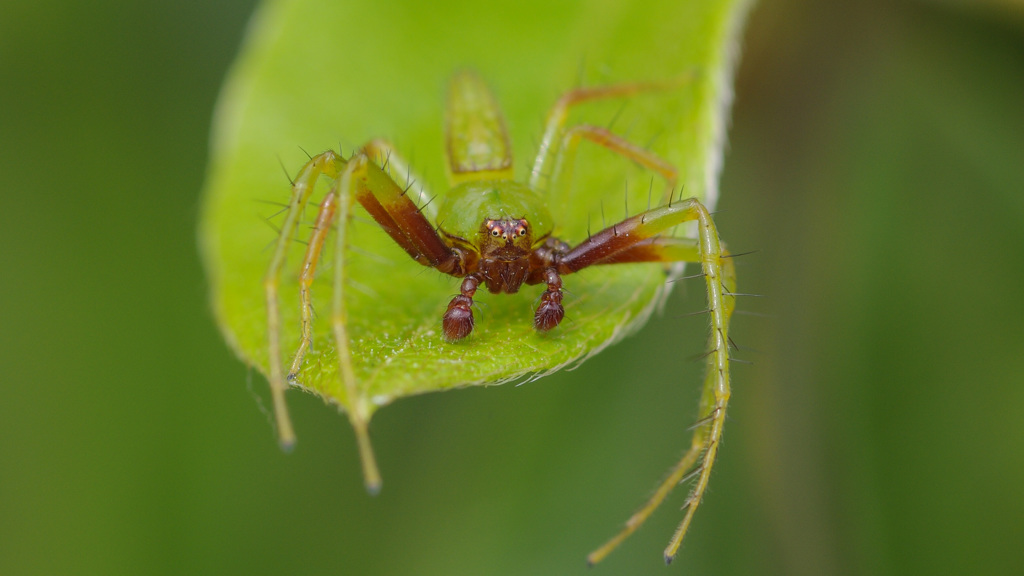 今日の出来高 　-Ⅲ/Ⅲ　閲覧注