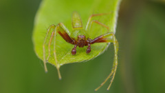 今日の出来高 　-Ⅲ/Ⅲ　閲覧注