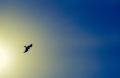 自分テスト　ん？