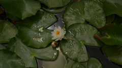 静かな公園 -1