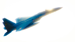 太陽を見た毒蛇のうた 太陽を見た毒蛇のうた