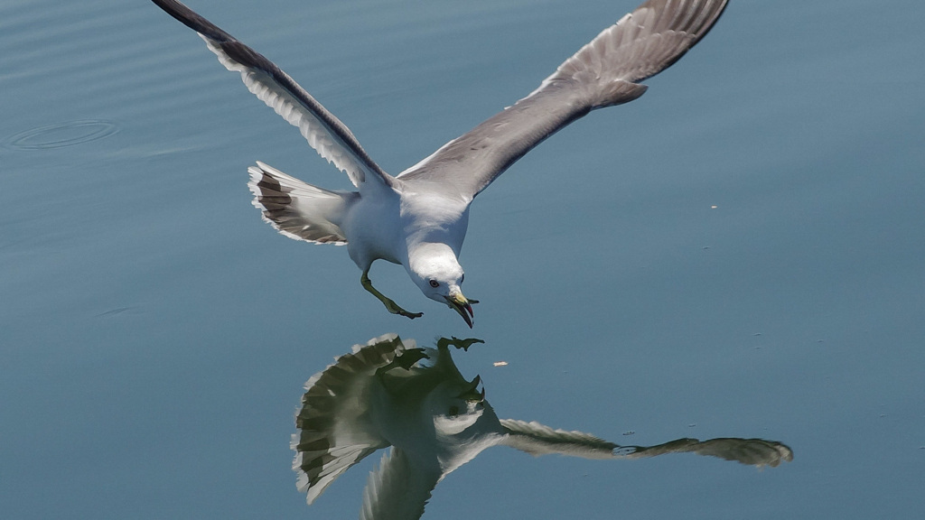 漁港にて１年前