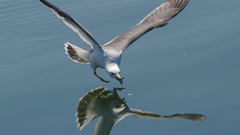 漁港にて１年前