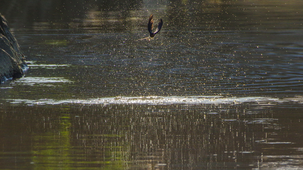 タッチ アンド ゴー!