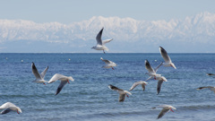 重い日常を撮りましょう