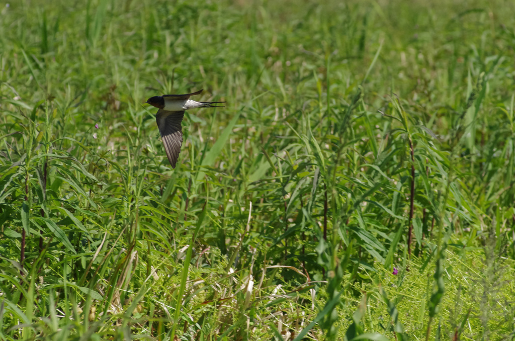 ワクチン２回目