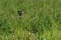 ワクチン２回目