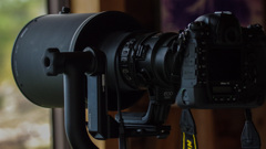 野鳥観察所にて　出会い