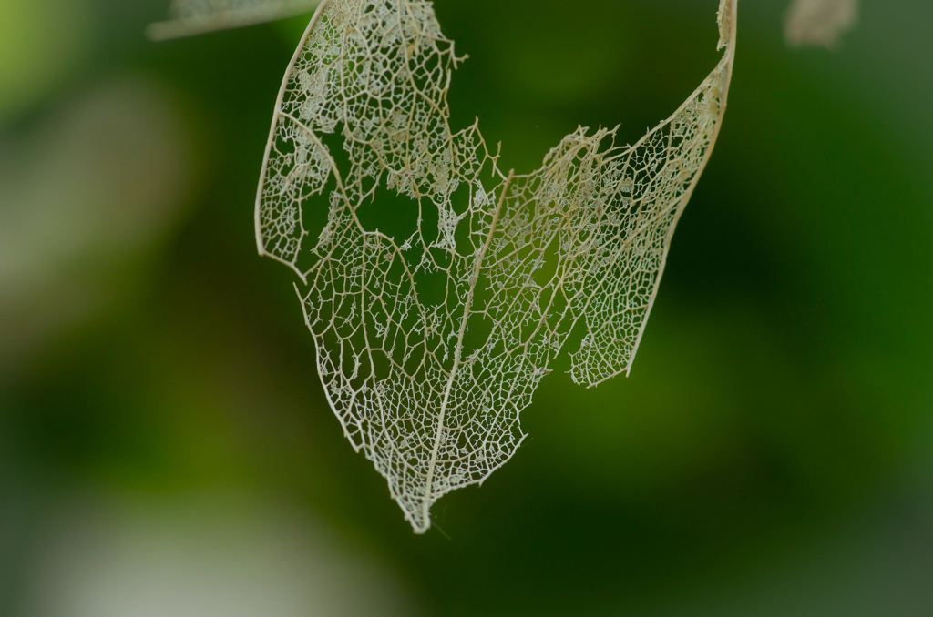 朝の出会いは素敵とはかぎらない
