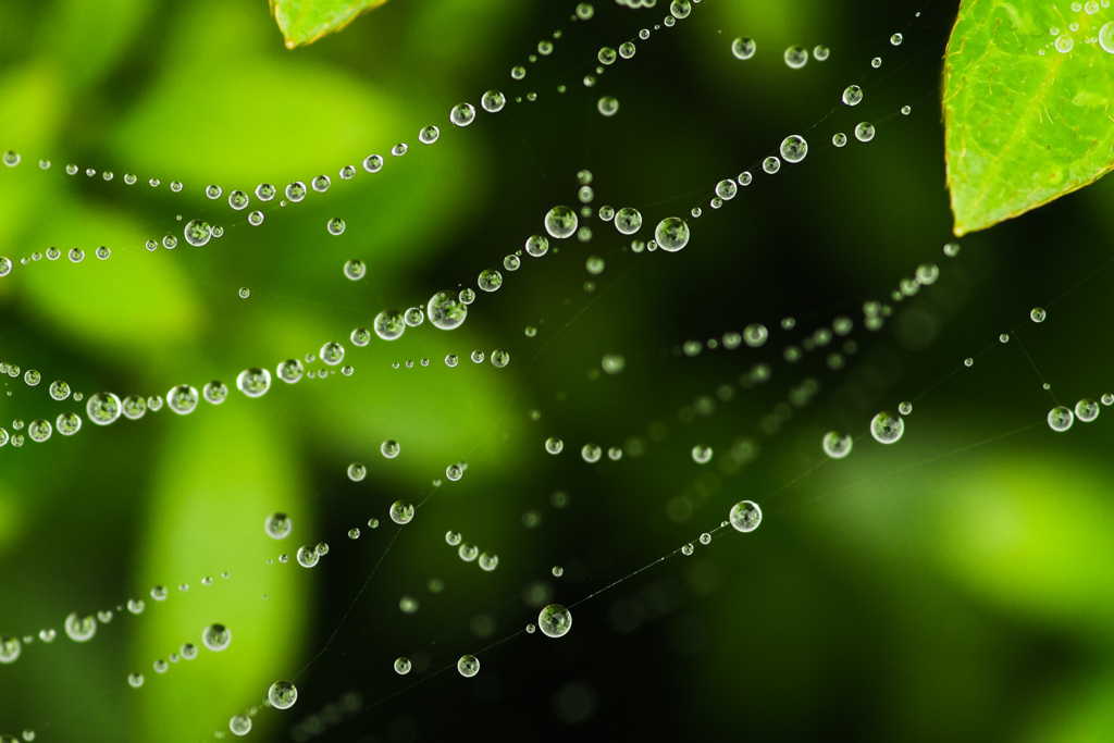 ５月の雨　旋律　