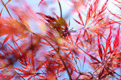 昼休みに中庭で -2/7