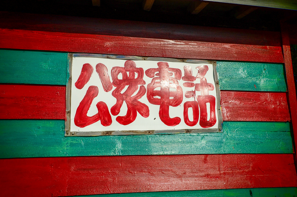 肉声で出ています