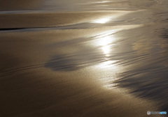 砂浜 いつもので