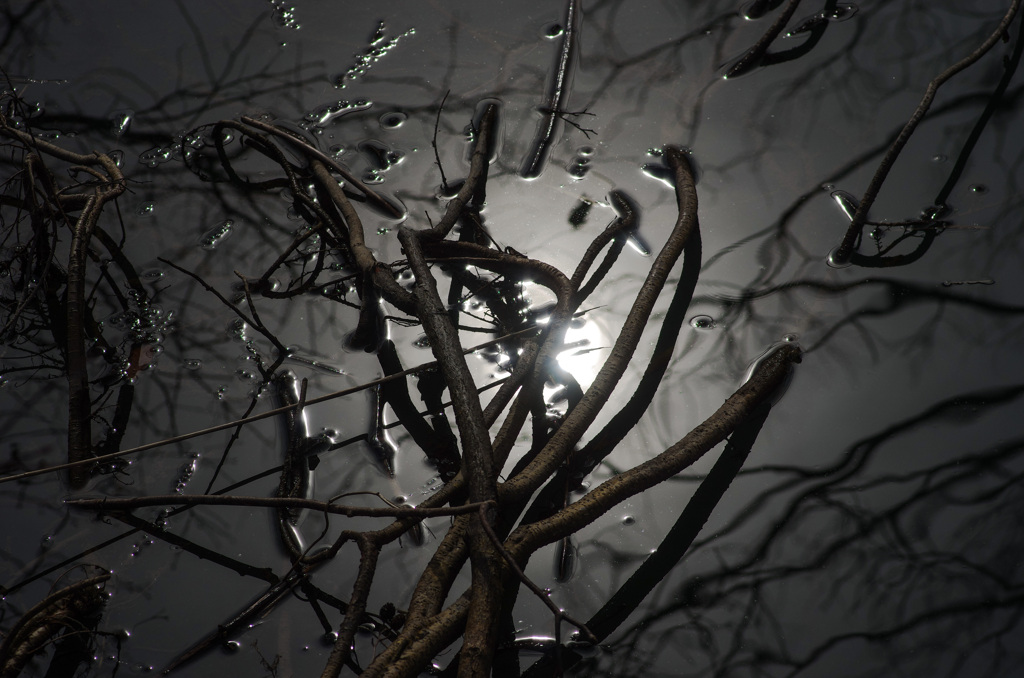 真冬の異常　3/3