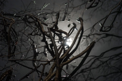 真冬の異常　3/3