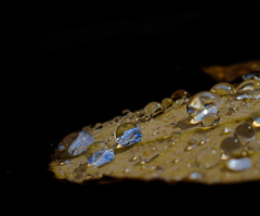 森マクロにハマるとき