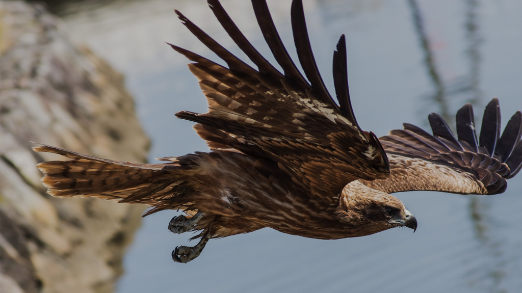 ワンツースリー