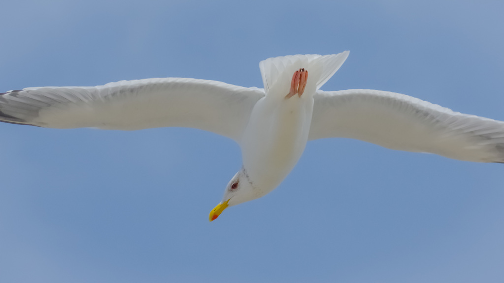 日展にいってみた