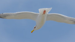 日展にいってみた