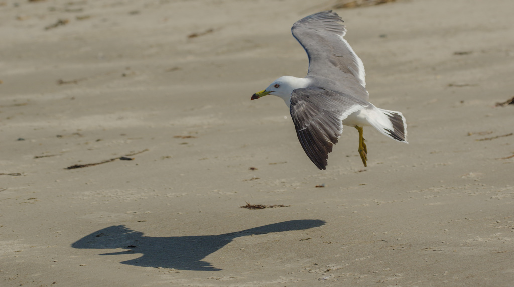 やさしい日差し
