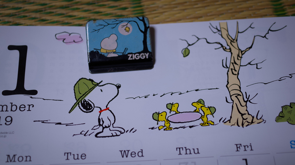 ZIGGY...THE LOSER