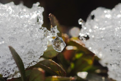 ザラメフェチが歩く