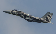 いぶし銀のゆるターンゼブラ