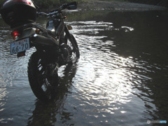 カシオ・コンピューター