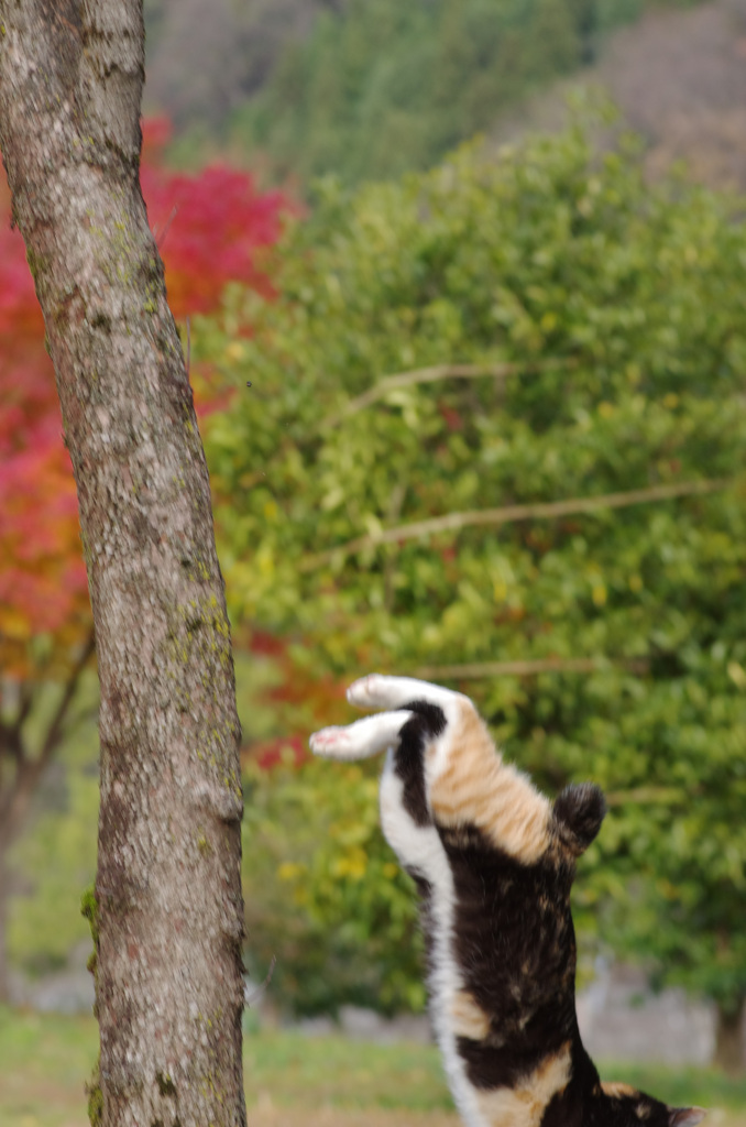   -121 　ぁっつっ！