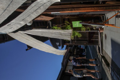 秋のタカヤ～マ