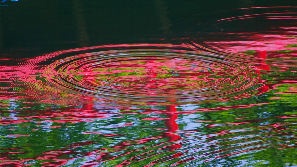 好きじゃないショット