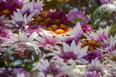 能登　輪島にて