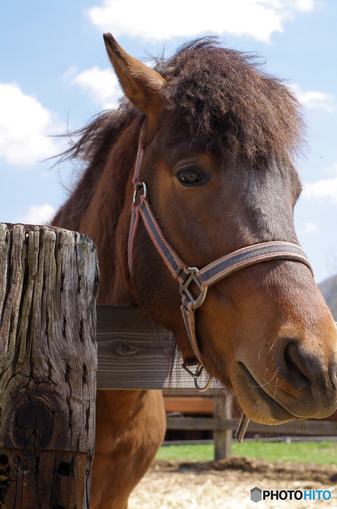 木曽開田高原にて