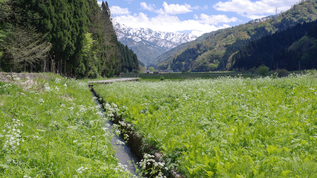 　-3  田舎スナップズ