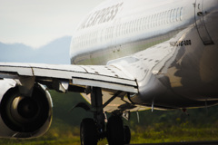 メタルとアブラ　華やかさと排気