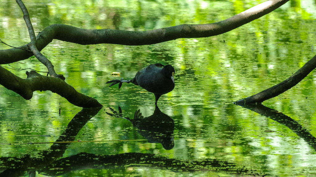 　-8　　バレエの練習なんだね