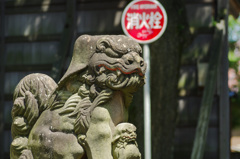 見知らぬ街の