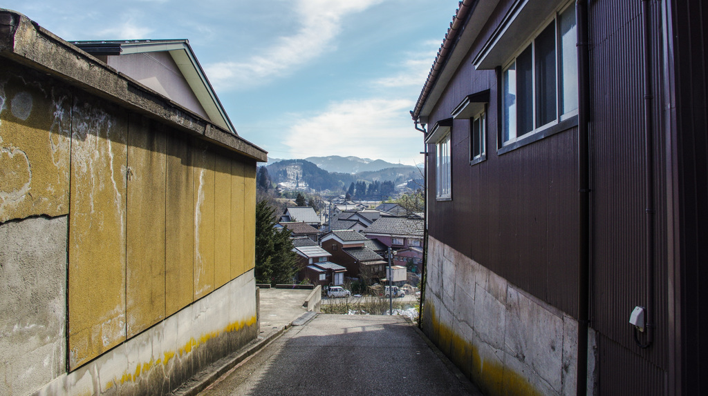 ナンノこっちゃあない　スナッパーでございます。