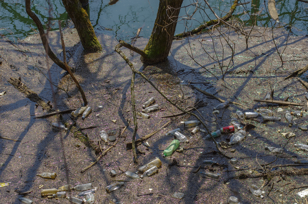 日本の教育とは