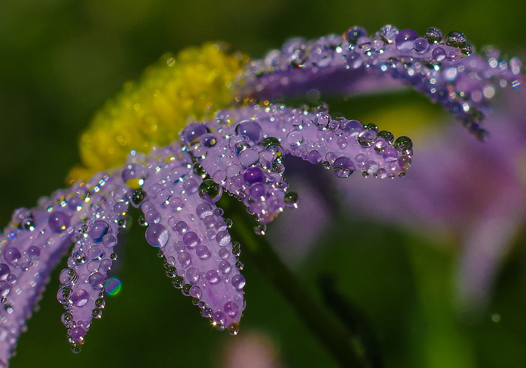 雨あがり