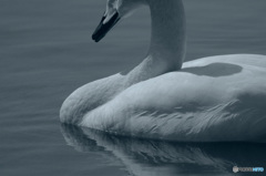 Myself　大切な ひとりの時間