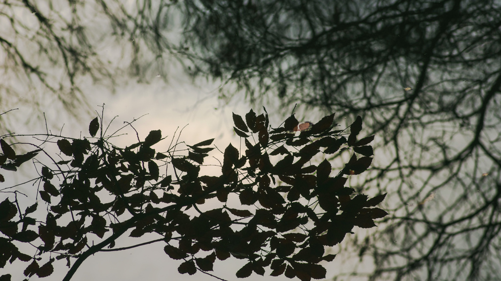 　-109 　虚数の世界