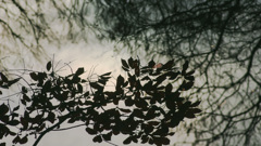 　-109 　虚数の世界