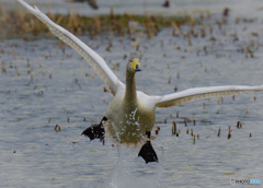 あ～　楽しかった！