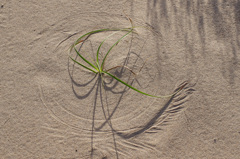 ♪　いまは～　もう秋