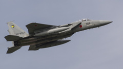 彼らを撮りつづけたいだけ