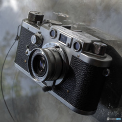 レオタックスの写真