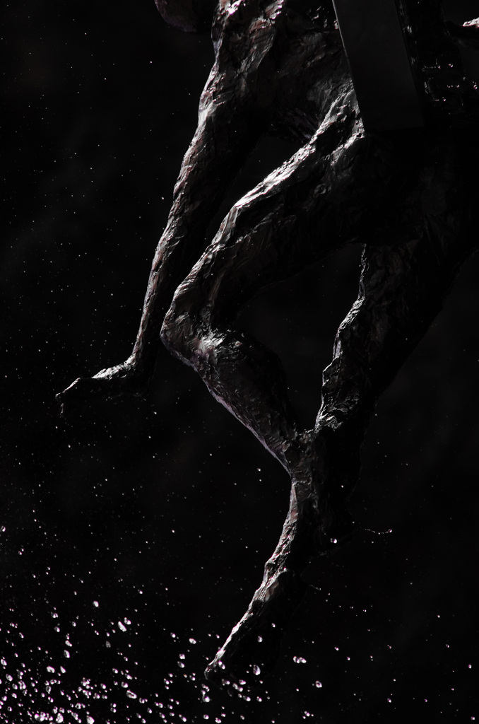 ペンタックスはごくふつうに生きてます