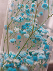 なんでもない写真　-1